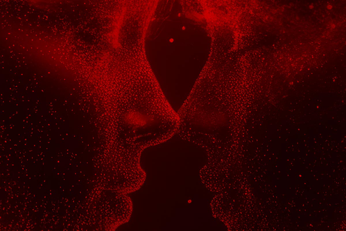 Operatività con la Magia Rossa
