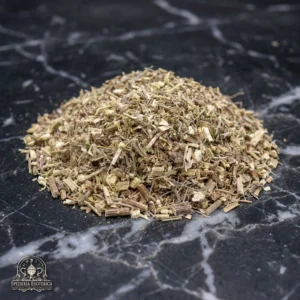 Assenzio (Artemisia absinthium)