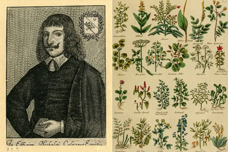 Nicholas Culpeper (1616-1654), di origini inglesi, fu botanico, erborista, medico e astrologo.