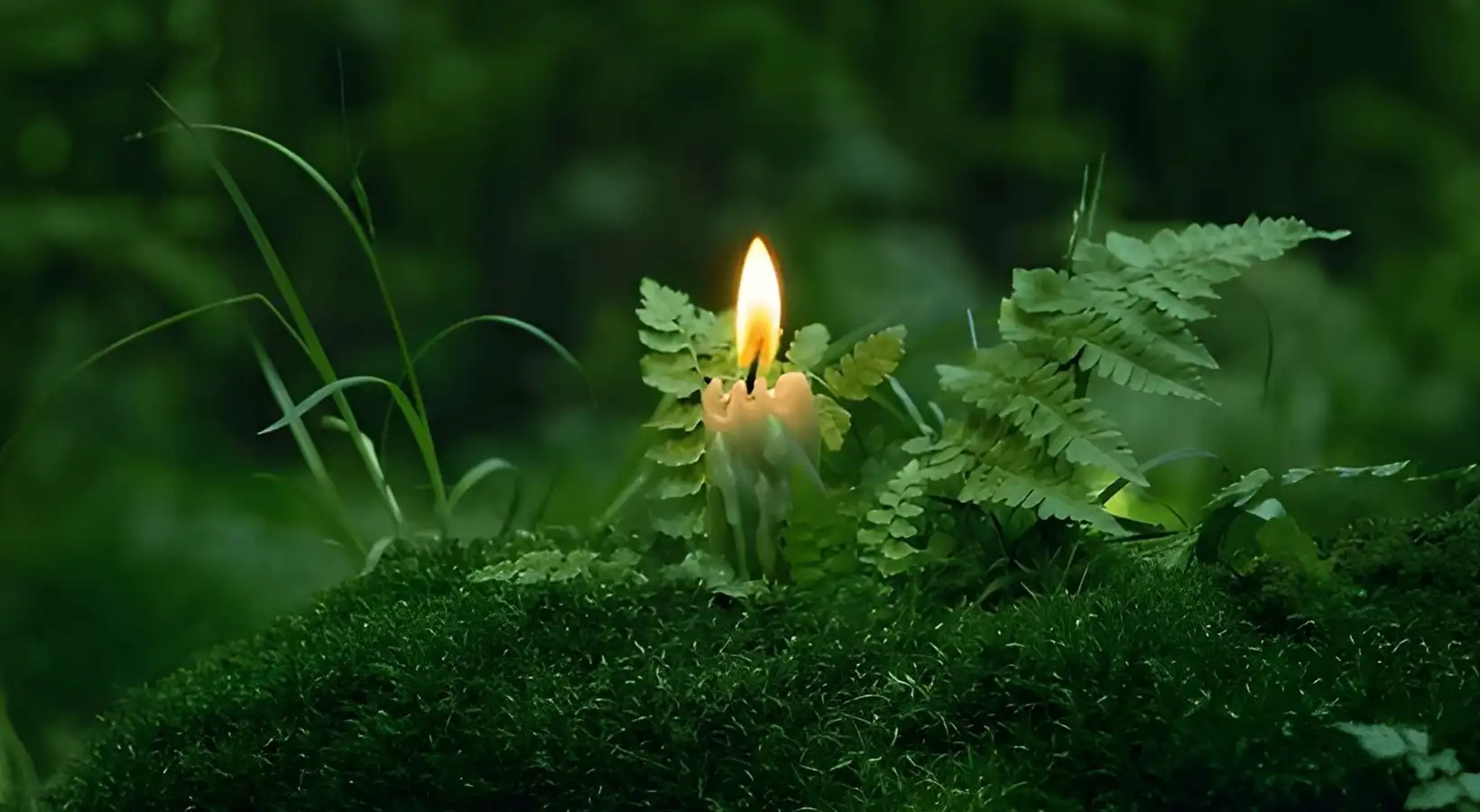 Il rapporto sacro tra la strega verde e la natura