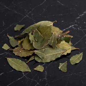 Alloro (Laurus nobilis)
