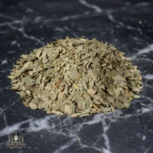 Foglie di Eucalipto Essiccate (Eucalyptus foliosa)