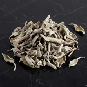 Salvia Magica Salvia Officinalis